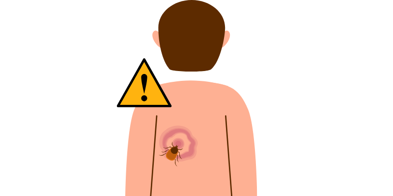 ダニは目に見える？