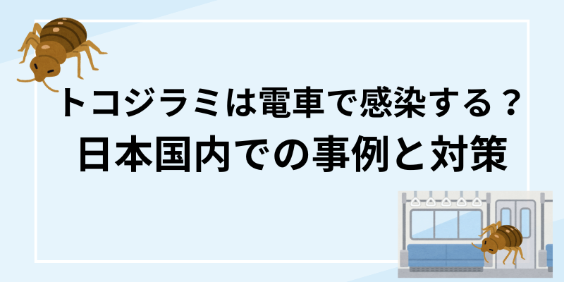 ダニとクモの違いを徹底解説、ダニ対策とクモの駆除方法