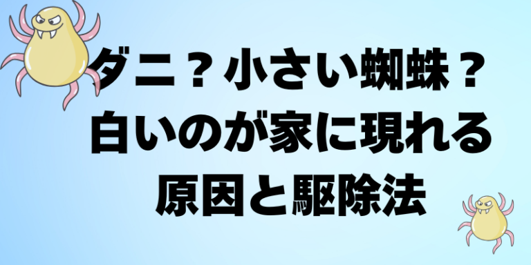 ダニとクモの違いを徹底解説、ダニ対策とクモの駆除方法