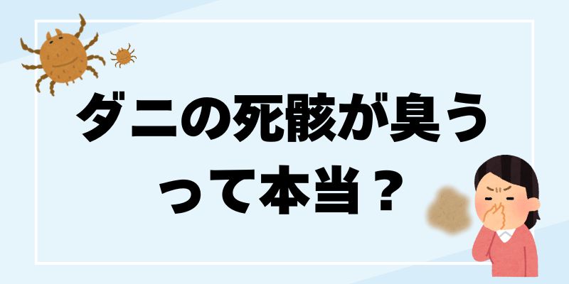 ダニとクモの違いを徹底解説、ダニ対策とクモの駆除方法
