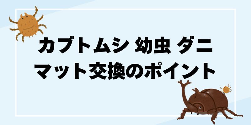 ダニとクモの違いを徹底解説、ダニ対策とクモの駆除方法