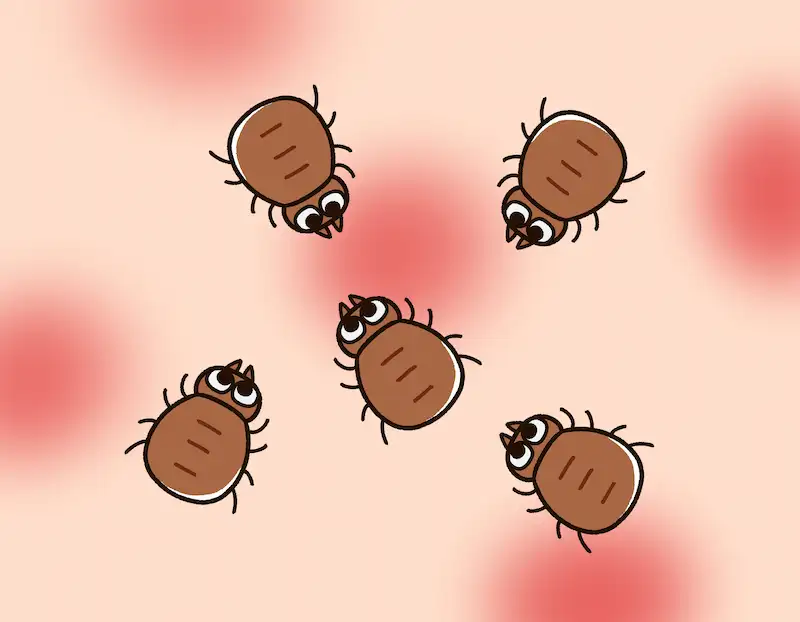 顔ダニ（デモデックス）とは？症状・原因・治し方を解説