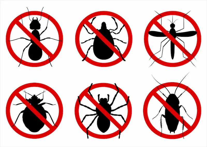 ダニの寿命はどれくらい？