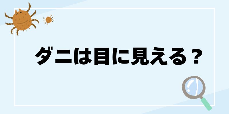 ダニが嫌いなハーブ10選|子どもに優しい自然派ダニ対策