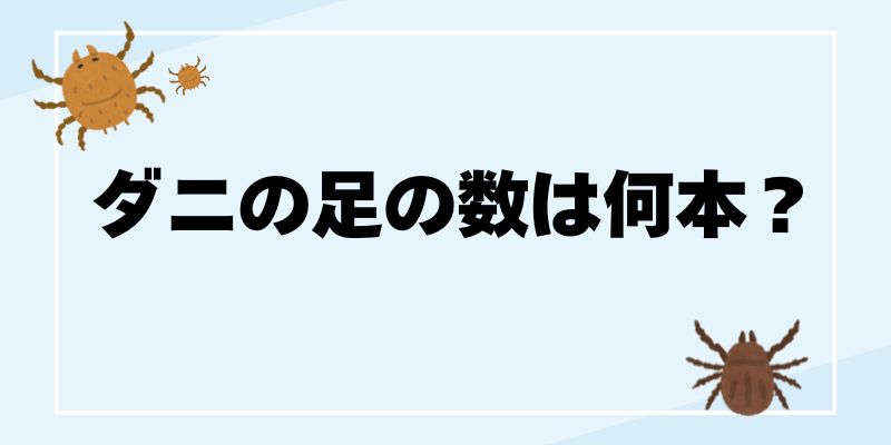 ダニの足の数は何本?昆虫とクモ、どっちの仲間かを調べてみたら意外な事実が