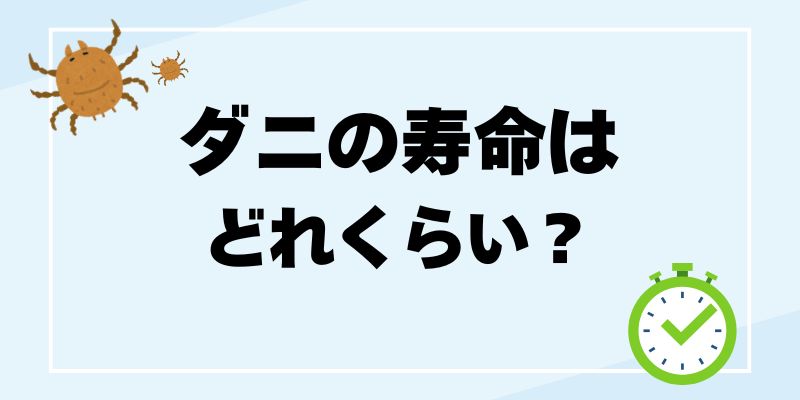 ダニの寿命はどれくらい?家庭に潜むダニの種類ごとに特徴と対策を解説