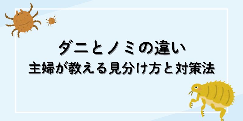 ダニとノミの違い｜主婦が教える見分け方と対策法