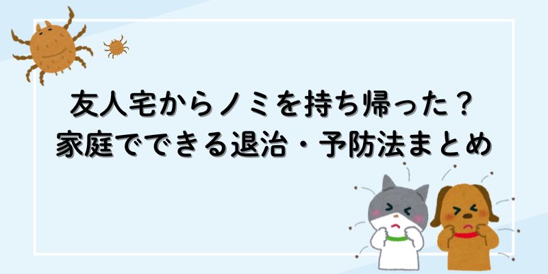友人宅からノミを持ち帰った？家庭でできる退治・予防法まとめ