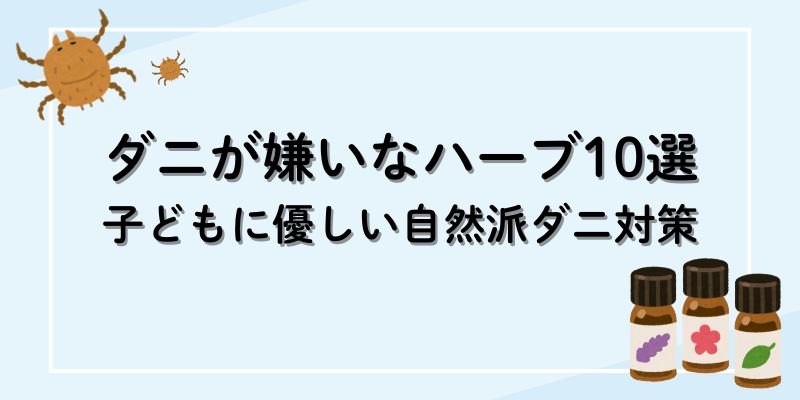 ダニが嫌いなハーブ10選｜子どもに優しい自然派ダニ対策