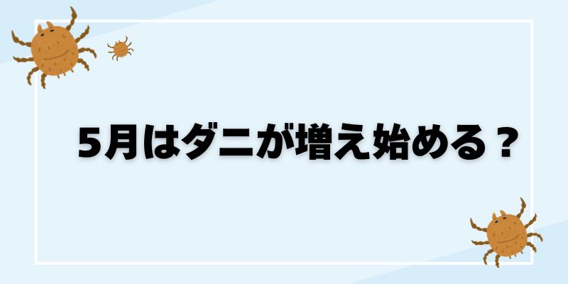 ダニは目に見える?見える種類・見分け方・正しい駆除方法まで徹底解説 | ダニの悩み解決部屋
