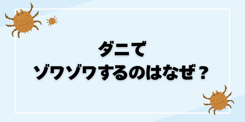 ダニとクモの違いを徹底解説、ダニ対策とクモの駆除方法