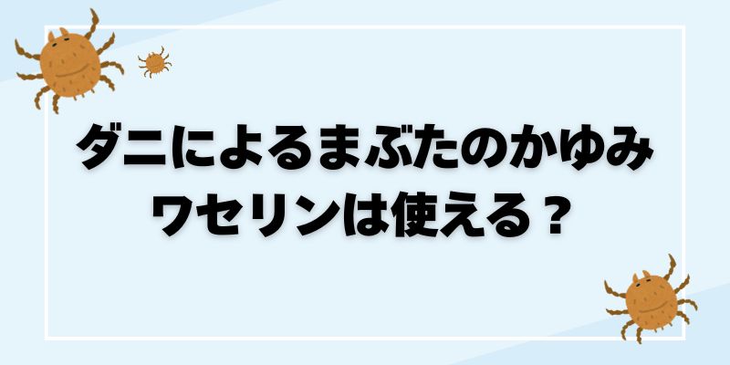 ダニによるまぶたのかゆみにワセリンは使える？効果と正しい対処法を解説