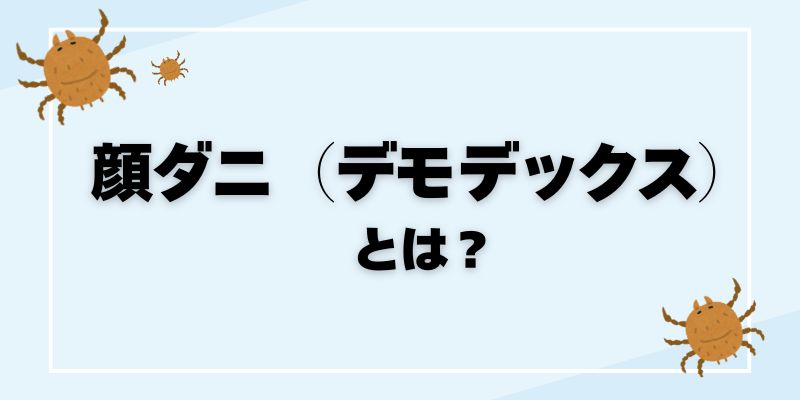 顔ダニ（デモデックス）とは？症状・原因・治し方を解説