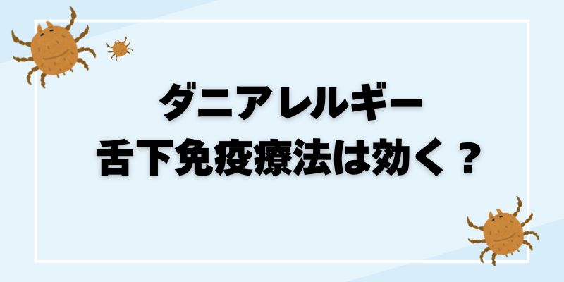 ダニアレルギーに舌下免疫療法は効く？効果・期間・注意点を解説
