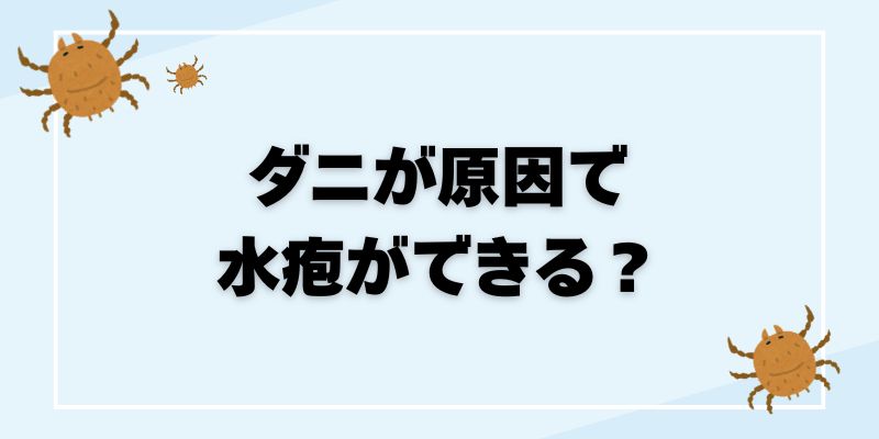 ダニで水疱ができる原因とは？虫刺されとの違い・正しい対処法を解説ブログ記事