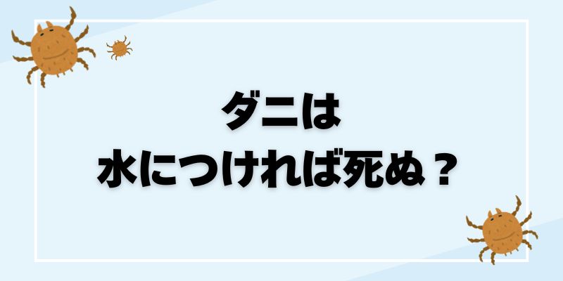 ダニは水につければ死ぬ？