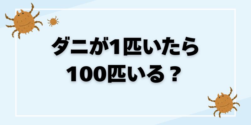 「ダニが1匹いたら100匹いる」は本当？